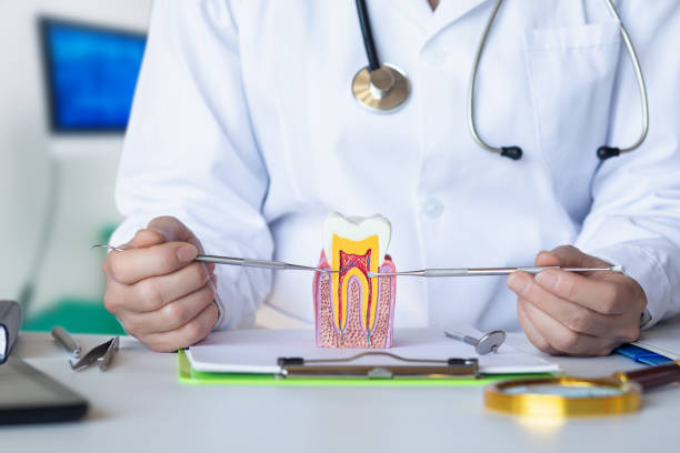 Best Emergency Root Canal Treatment in Doniphan, MO